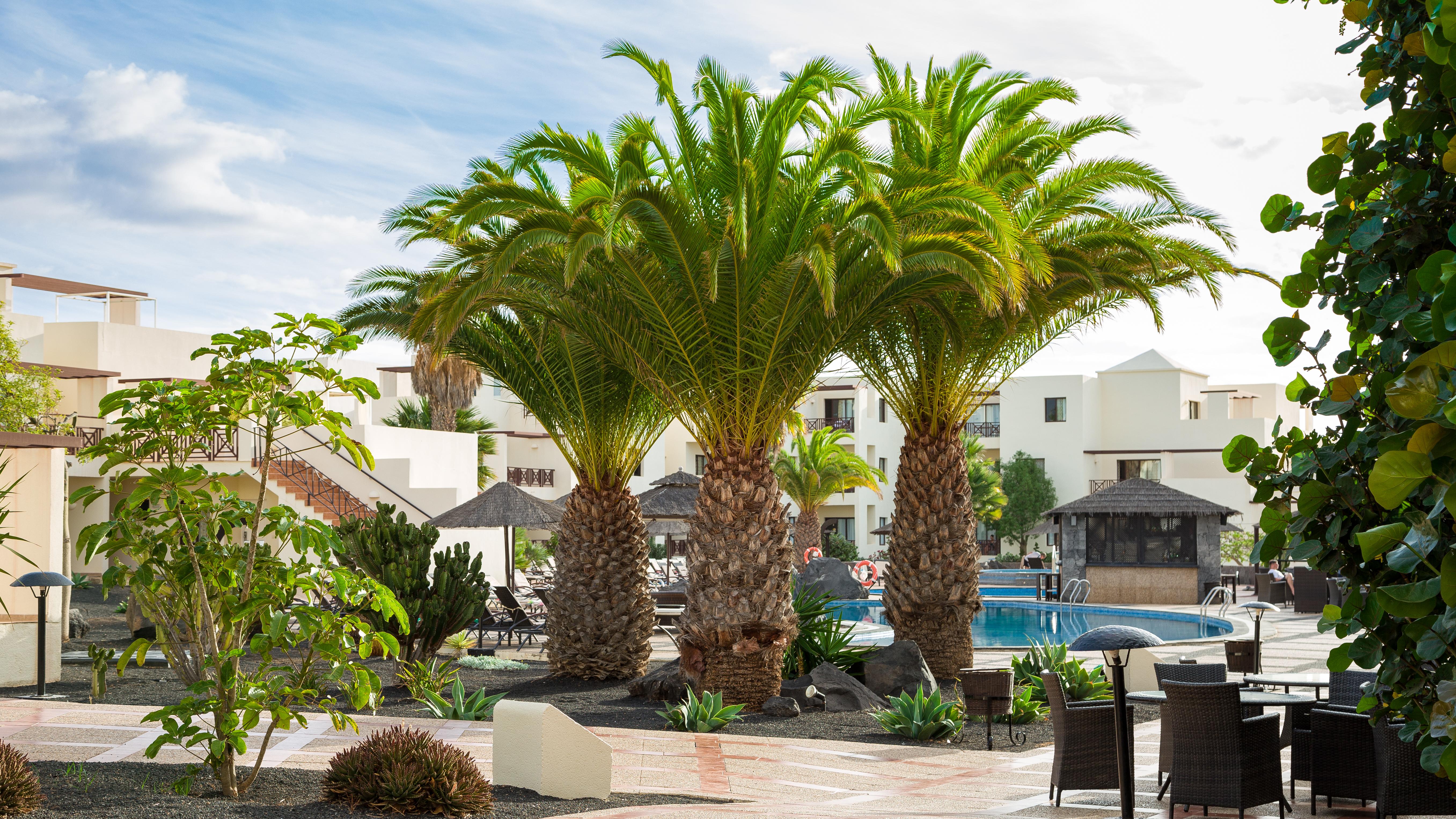 Vitalclass Lanzarote Resort Costa Teguise Exterior foto